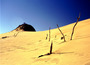 australia - fraser island.jpg